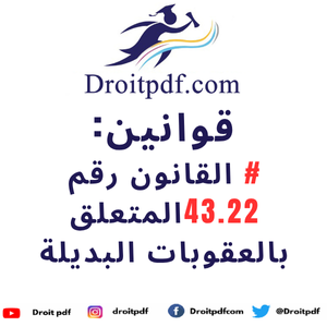 القانون رقم 43.22 المتعلق بالعقوبات البديلة
